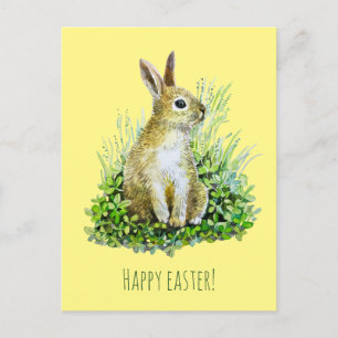 Little bunny  watercolor postcard