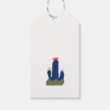 Little cactus