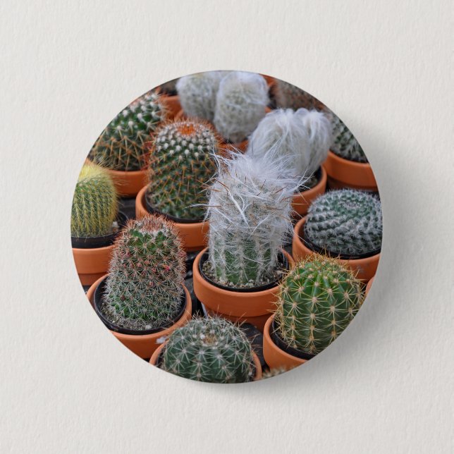 Little cactus plants 2 inch round button (Front)