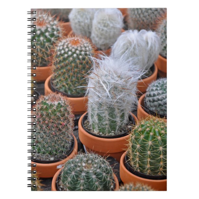 Little cactus plants notebook (Front)