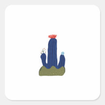 Little cactus