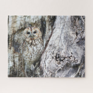 Little Camouflage Owl in Tree Jigsaw Puzzle