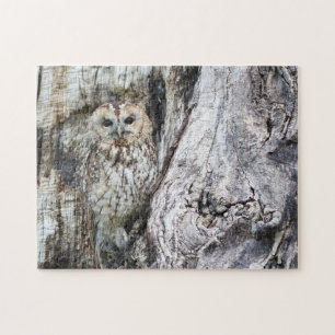 Little Camouflage Owl in Tree Jigsaw Puzzle
