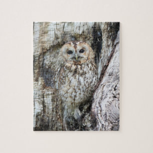 Little Camouflage Owl in Tree Jigsaw Puzzle
