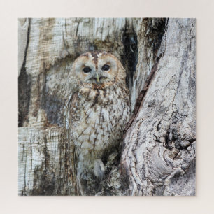 Little Camouflage Owl in Tree Jigsaw Puzzle
