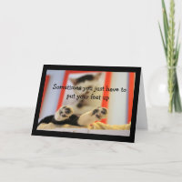 Little Cat Feet Get Well Wishes