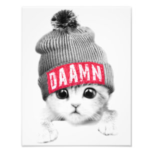 Little Cat Photo Print