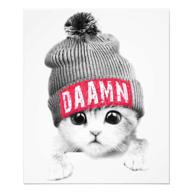 Little Cat Photo Print (Front)