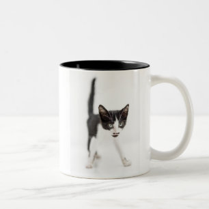 Little Cat Two-Tone Coffee Mug
