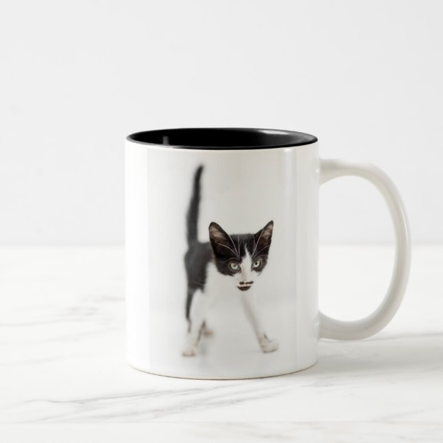 Little Cat Two-Tone Coffee Mug (Right)
