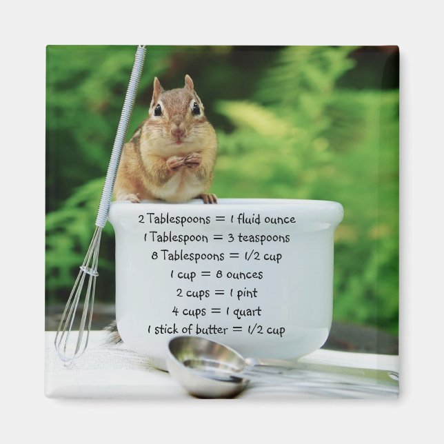 Little Chef Chipmunk Measurement Equivalents Magnet (Front)