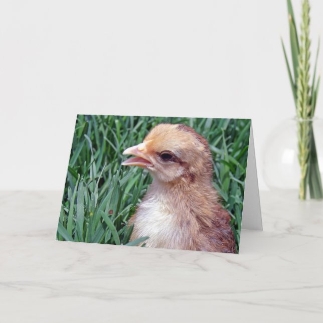 Little Chick in the Grass All Occasions Greeting Card (Front)