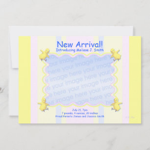 Little Chicks New Baby Announcement (photo frame)