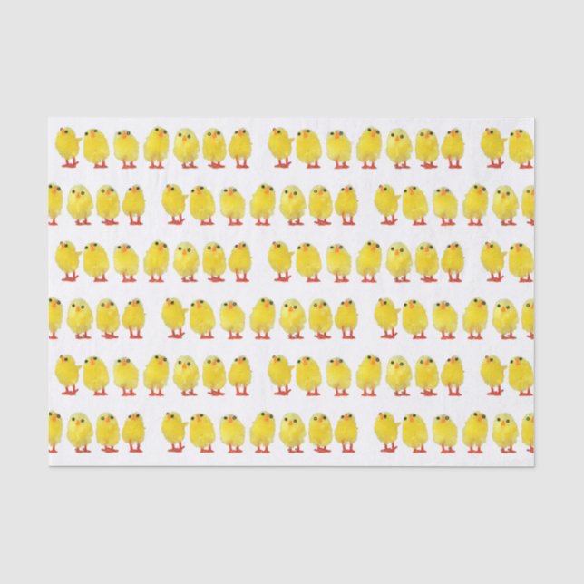Little Chicks Tissue Paper (Front)