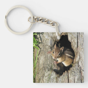 Little Chipmunk Keychain