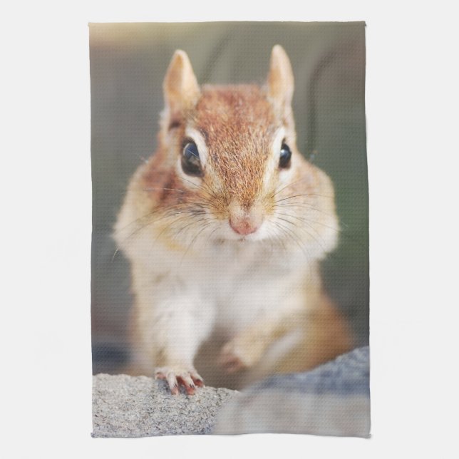 Little Chipmunk Portrait Kitchen Towel (Vertical)