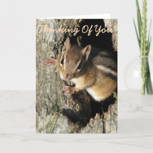 Little Chipmunk Thinking of You Card