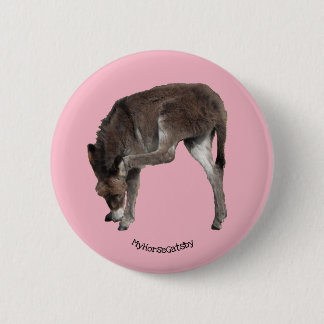 Little Chocolate Donkey Foal Scratching Ear 2 Inch Round Button