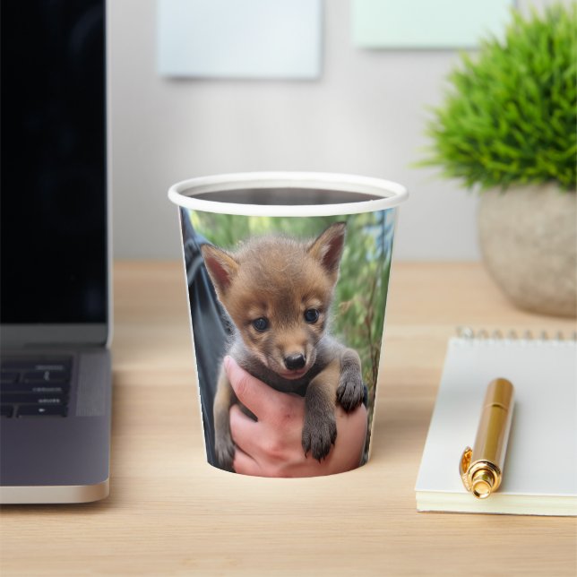 Little Coyote Paper Cups (Insitu)