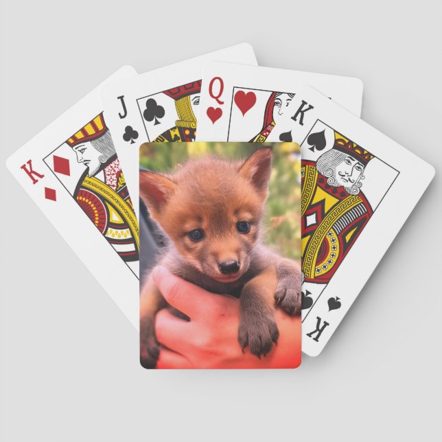 Little Coyote Playing Cards (Back)