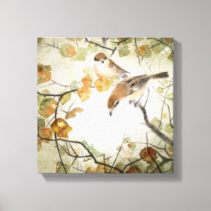Little Creature-Bull-headed Shrikes Canvas Print