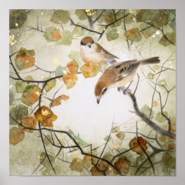 Little Creature-Bull-headed Shrikes Poster (Front)
