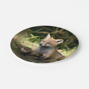 Little Cub Red Fox Paper Plate