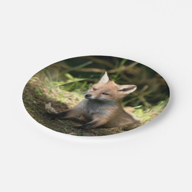 Little Cub Red Fox Paper Plate (Angled)
