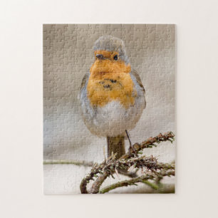 Little cute red robin bird jigsaw puzzle
