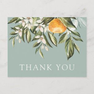 Little Cutie Baby Shower Thank You Postcard
