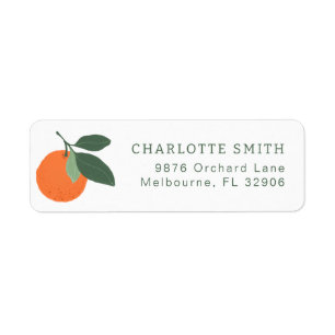 Little Cutie Clementine Baby Shower Return Address