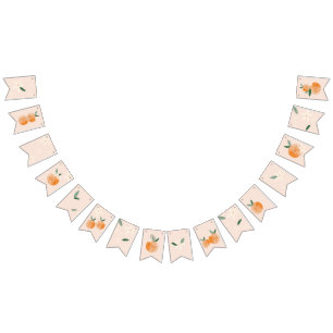 Little Cutie is on the Way Citrus Baby Shower Bunting Flags