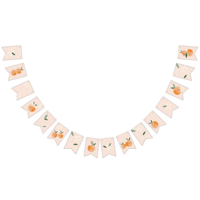 Little Cutie is on the Way Citrus Baby Shower Bunting Flags (All)