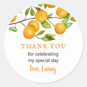 Little Cutie Orange Birthday Party Favour Classic Round Sticker