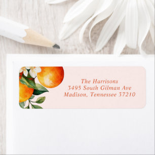 Little Cutie Orange Clementine Adresse du Baby sho