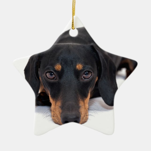 Little Dachshund Ceramic Ornament (Front)