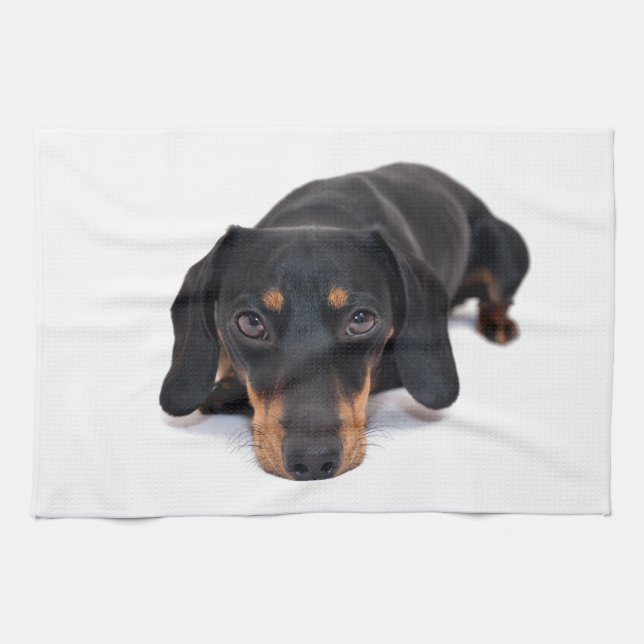 Little Dachshund Kitchen Towel (Horizontal)