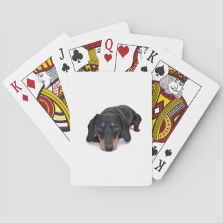 Little Dachshund Playing Cards