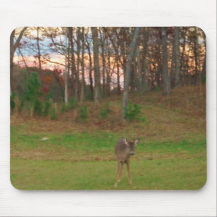 Little Deer &a Pink Sunset Mouse Pad