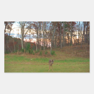 Little Deer &a Pink Sunset Sticker