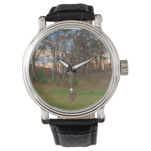 Little Deer & a Pink SunSet Watch