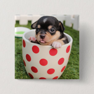 Little doggy in the cup 2 inch square button