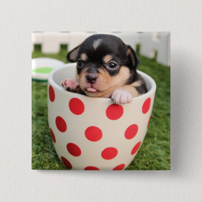 Little doggy in the cup 2 inch square button (Front)