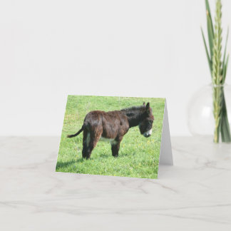 LITTLE DONKEY CARD