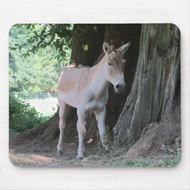 Little Donkey Mouse Pad (Front)