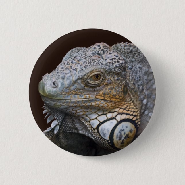 Little Dragon Bag 2 Inch Round Button (Front)
