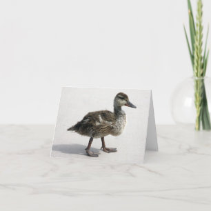 Little Duckling Card