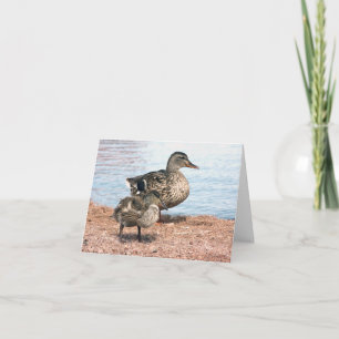 Little Ducklings at the Pond Card