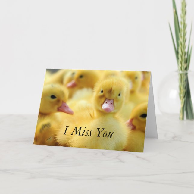 Little Ducks Card (Front)