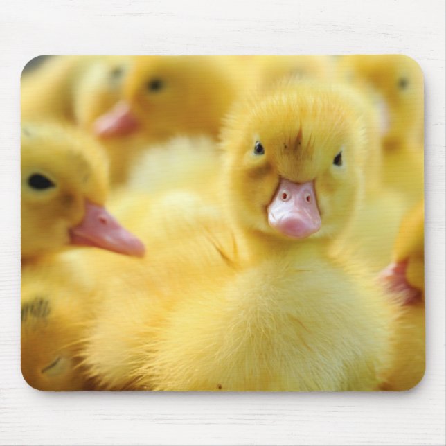 Little Ducks Mouse Pad (Front)